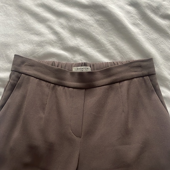 Aritzia Conan Pant - Picture 3 of 4